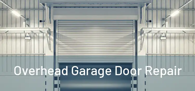  Overhead Garage Door Repair 